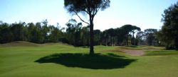 Sueno Dunes